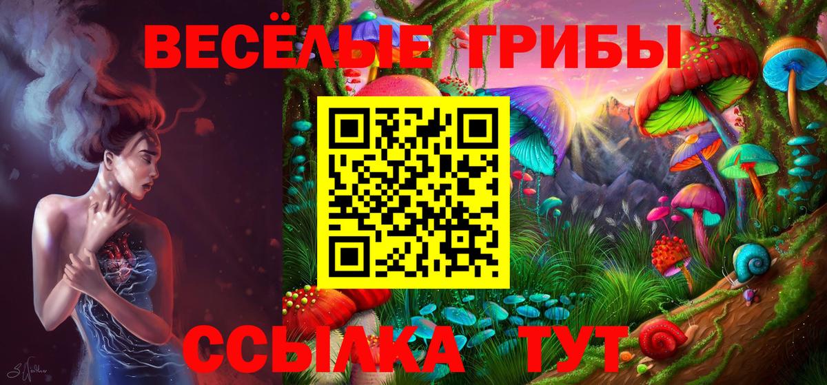 Галлюциногенные грибы мухоморы Канаш