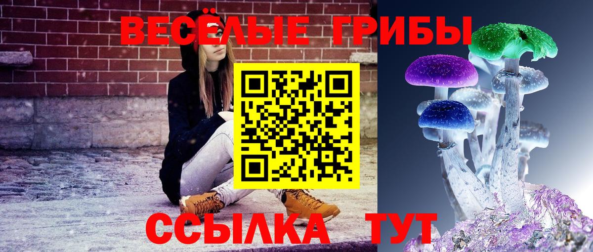 Псилоцибиновые грибы GOLDEN TEACHER  Вход с VPN  Канаш 